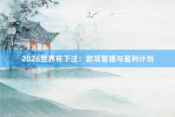 2026世界杯下注：款项管理与盈利计划